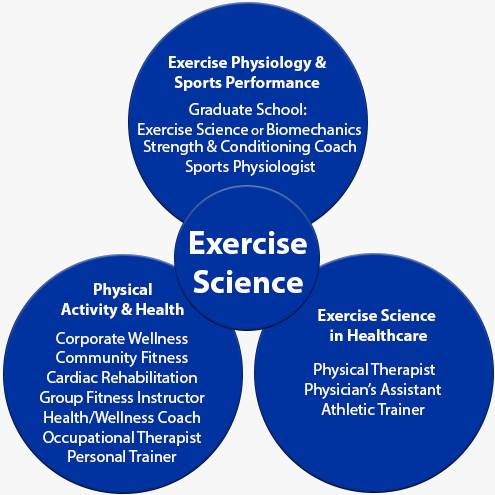 Potential careers associated with each of the three exercise science emphasis areas
